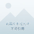 正当梨花开满天涯