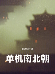 单机南北朝