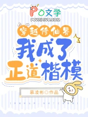 穿越修仙界，我成了正道楷模