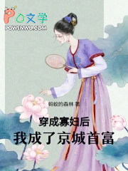 穿成寡妇后，我成了京城首富