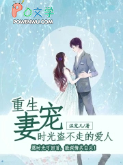 重生宠妻：时光盗不走的爱人