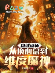 稳健巫师：从换心鼠到维度魔神