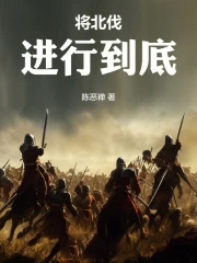 灭金伐宋，将北伐进行到底