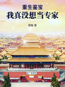 重生鉴宝：我真没想当专家