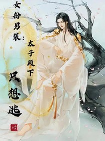 穿越之女扮男装太子爷