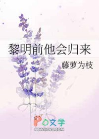 大唐辟珠记