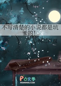 不写清楚的小说都是坑爹的