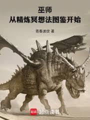 巫师：从精炼冥想法图鑑开始