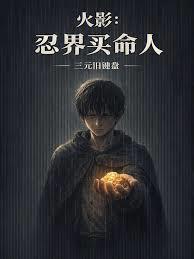 火影：忍界买命人