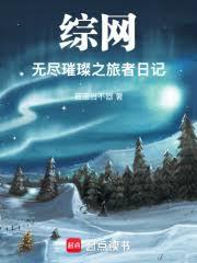 综网：无尽璀璨之旅者日记